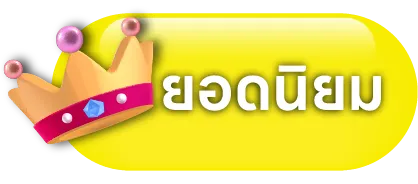 ยอดนิยม